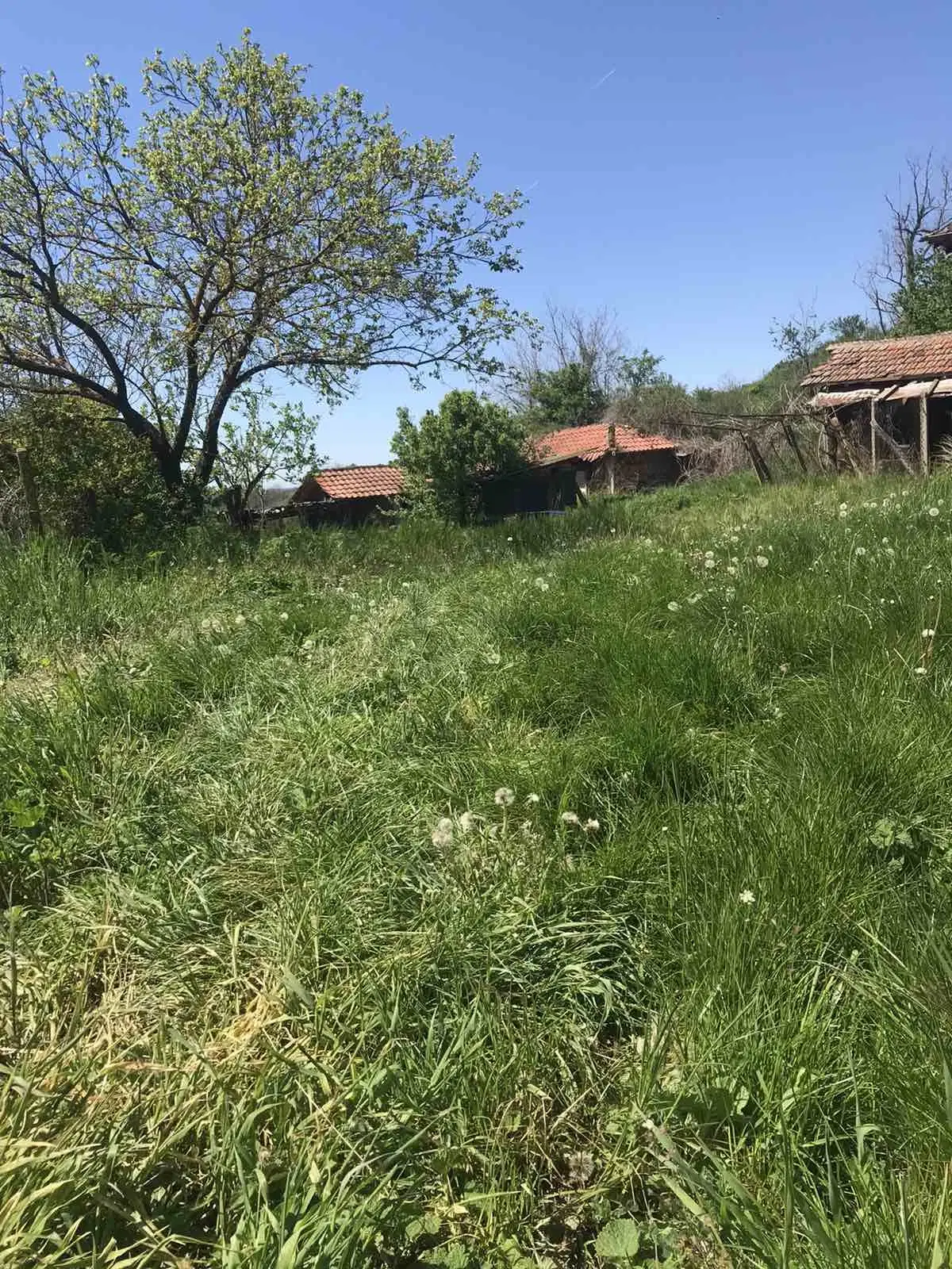 Authentiek 100 jaar oud landelijk huis + 1.006 m² grond in Glavan, Silistra - Bulgarije