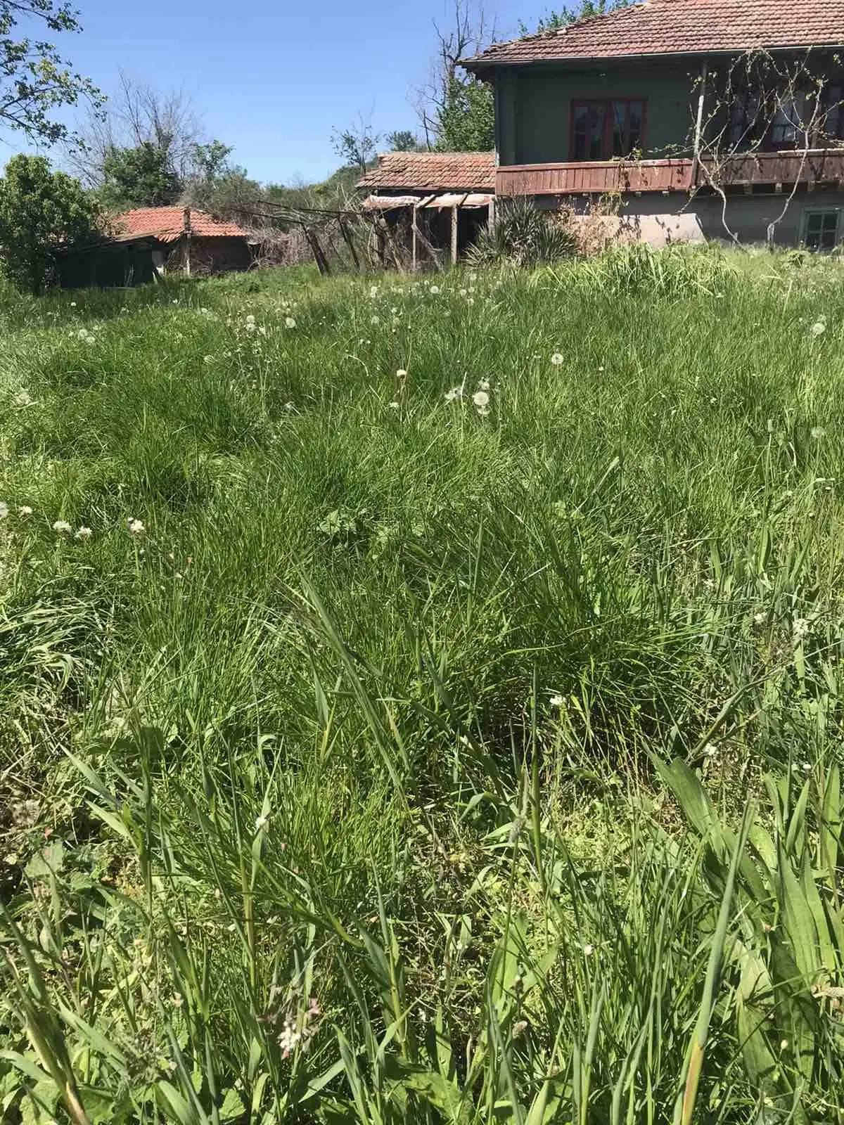 Authentiek 100 jaar oud landelijk huis + 1.006 m² grond in Glavan, Silistra - Bulgarije