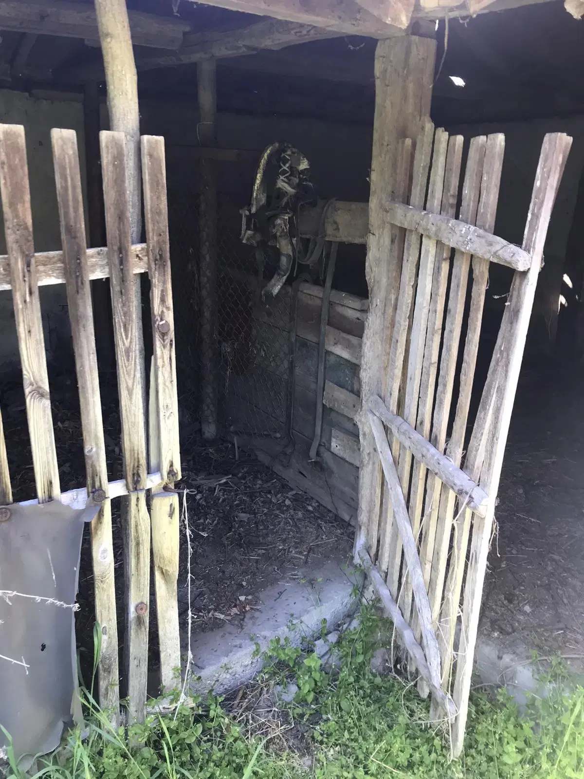 Authentiek 100 jaar oud landelijk huis + 1.006 m² grond in Glavan, Silistra - Bulgarije