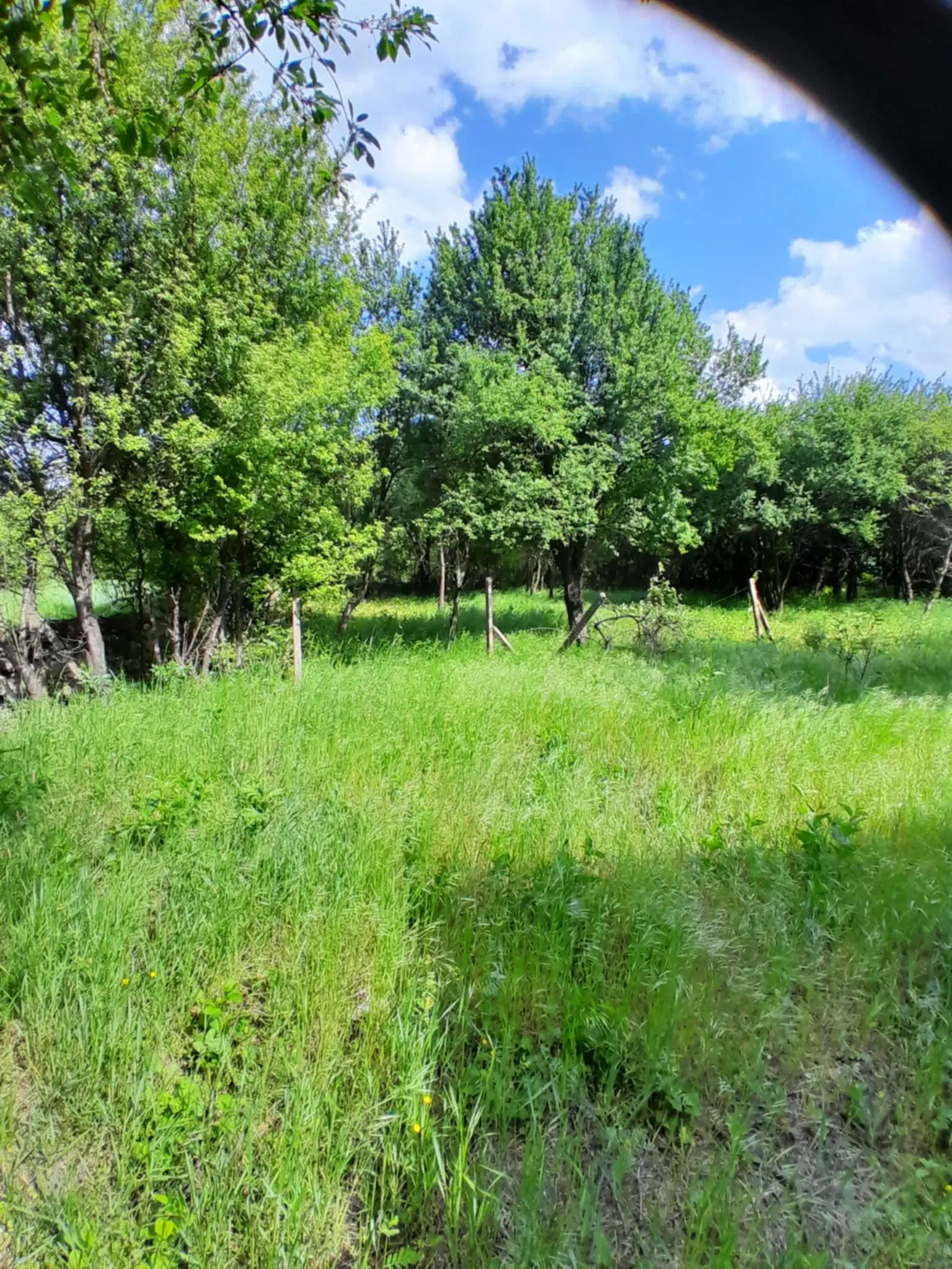 Klassiek Balkan huis op 1.604 m² in Vodna, Vidin - Bulgarije