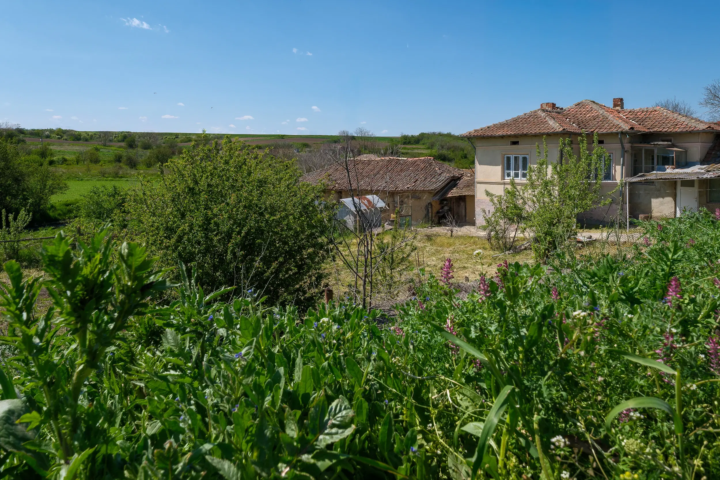 Grote 2-laagse woning, bijgebouwen + 1.110 m² grond in Polkovnik Dyakovo - Bulgarije
