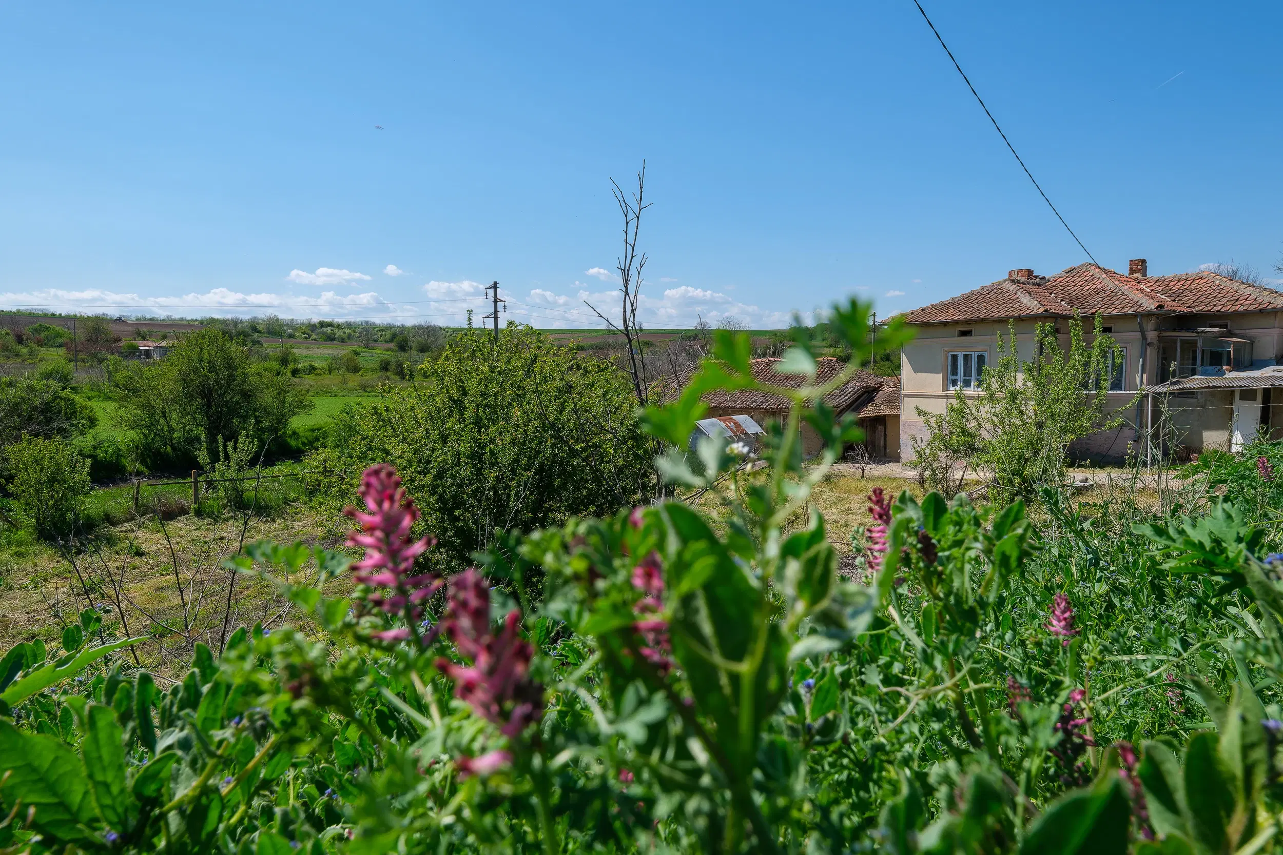 Grote 2-laagse woning, bijgebouwen + 1.110 m² grond in Polkovnik Dyakovo - Bulgarije