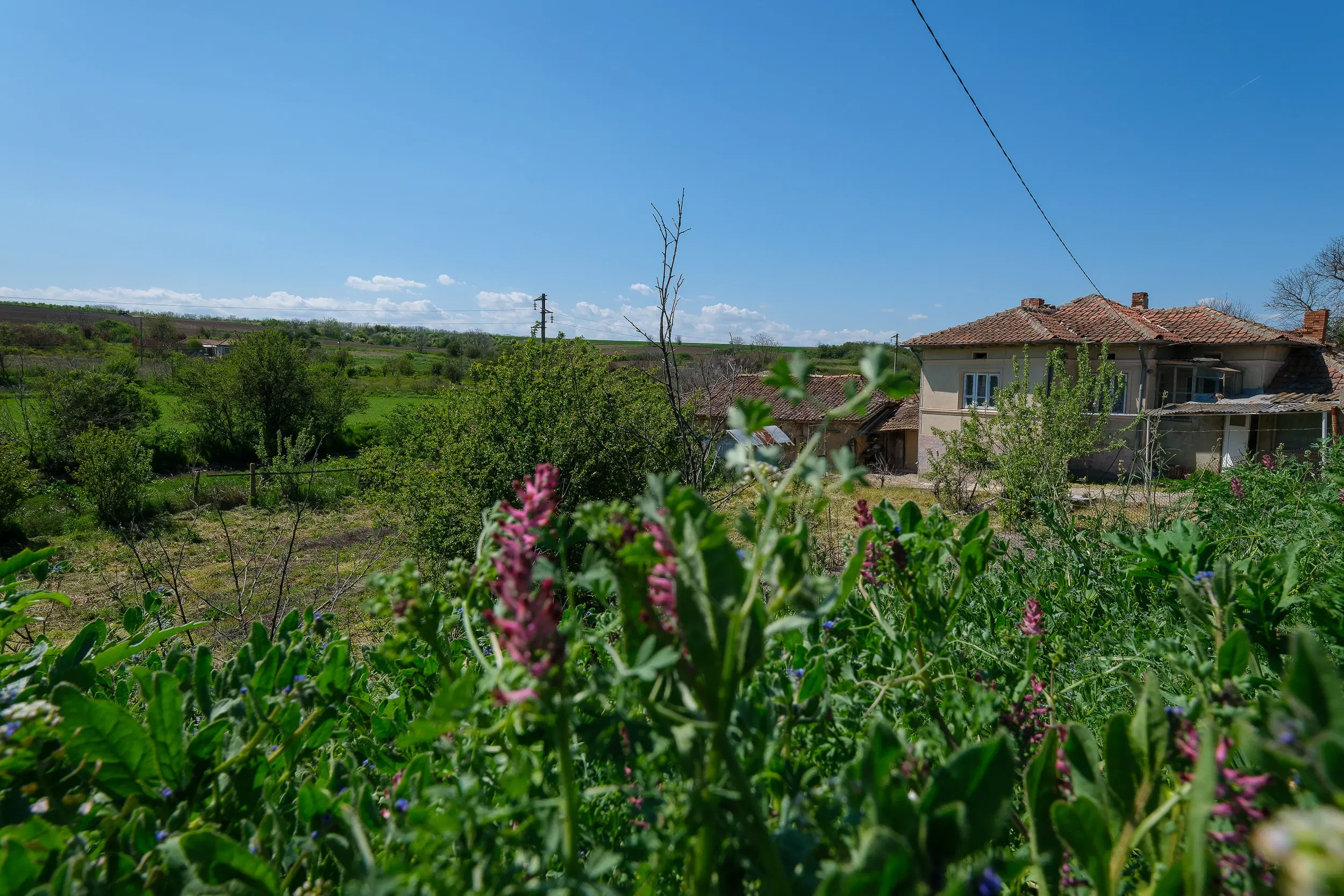 Grote 2-laagse woning, bijgebouwen + 1.110 m² grond in Polkovnik Dyakovo - Bulgarije