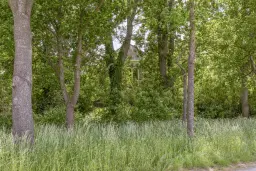 Bellingwolde, Hamsterweg 24