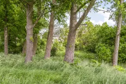 Bellingwolde, Hamsterweg 24