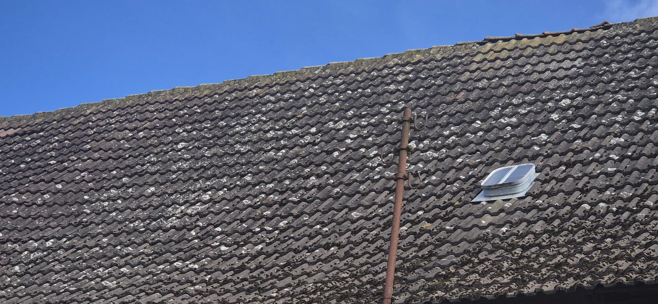 Historisch appartementencomplex met groot perceel - monumentaal pand met ontwikkelingspotentieel in Calvörde - Duitsland