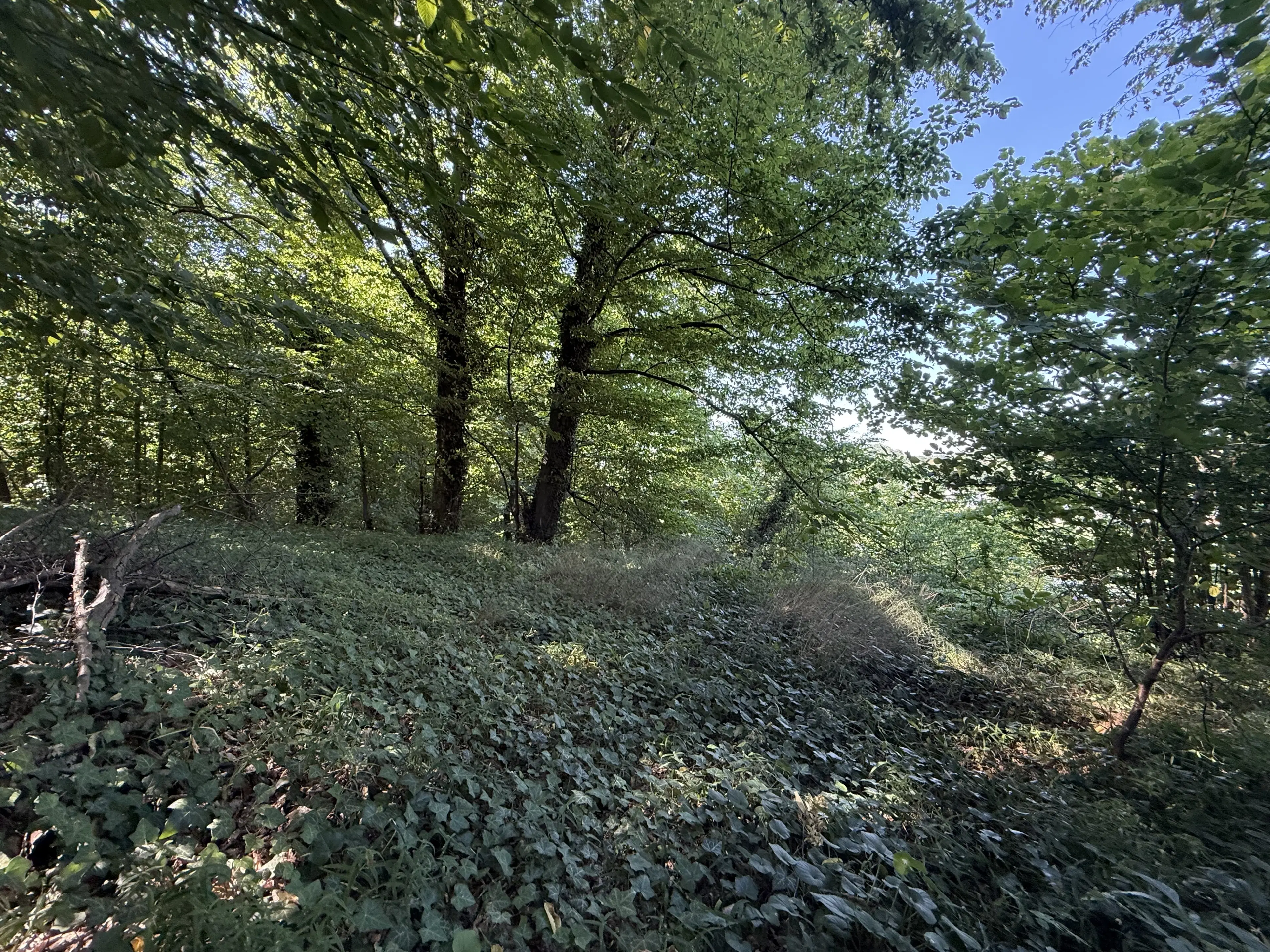 Bijzonder perceel 2.020 m², nabij rivier de Freiberger Mulde - Leisnig - Duitsland