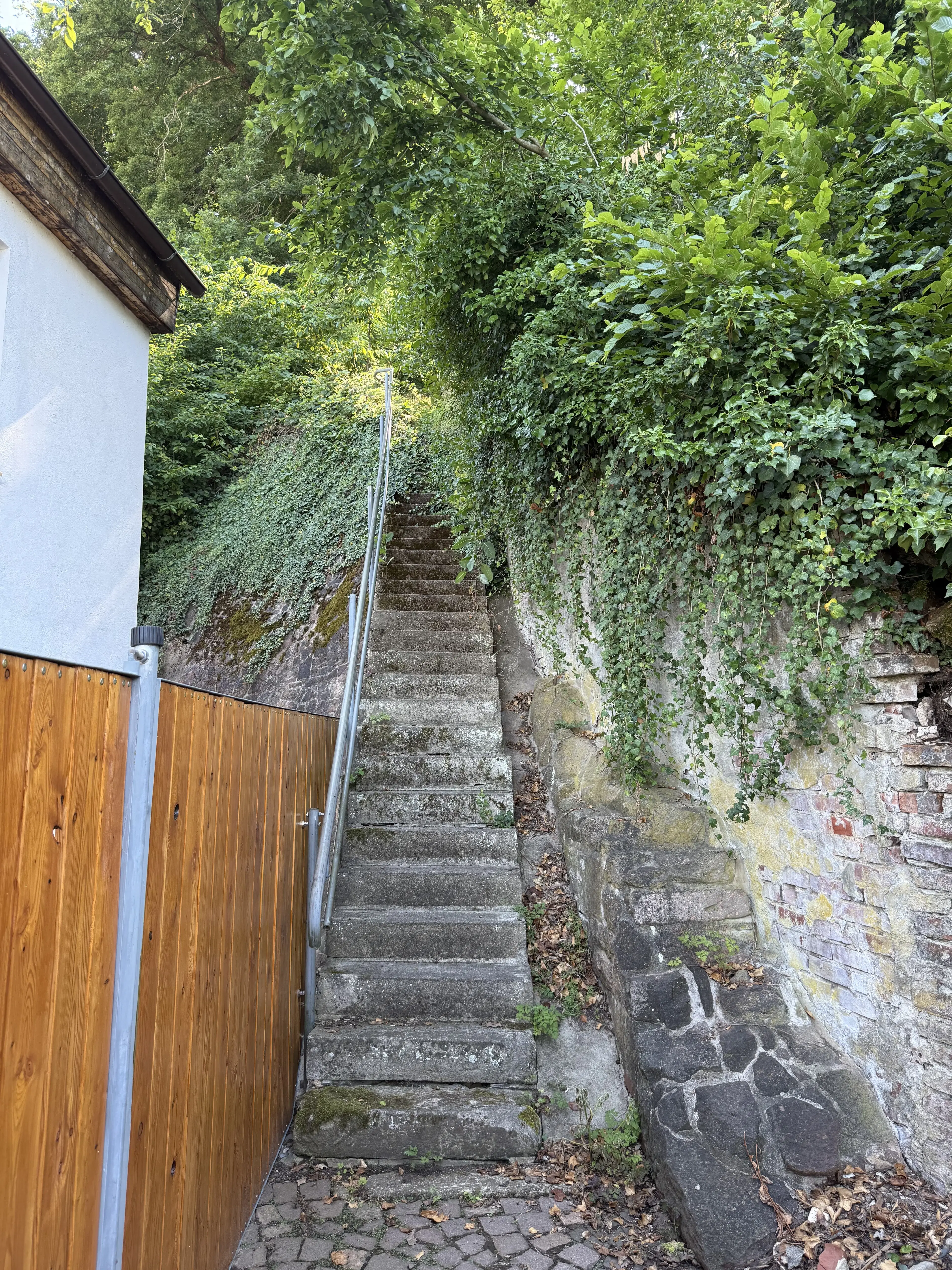 Bijzonder perceel 2.020 m², nabij rivier de Freiberger Mulde - Leisnig - Duitsland