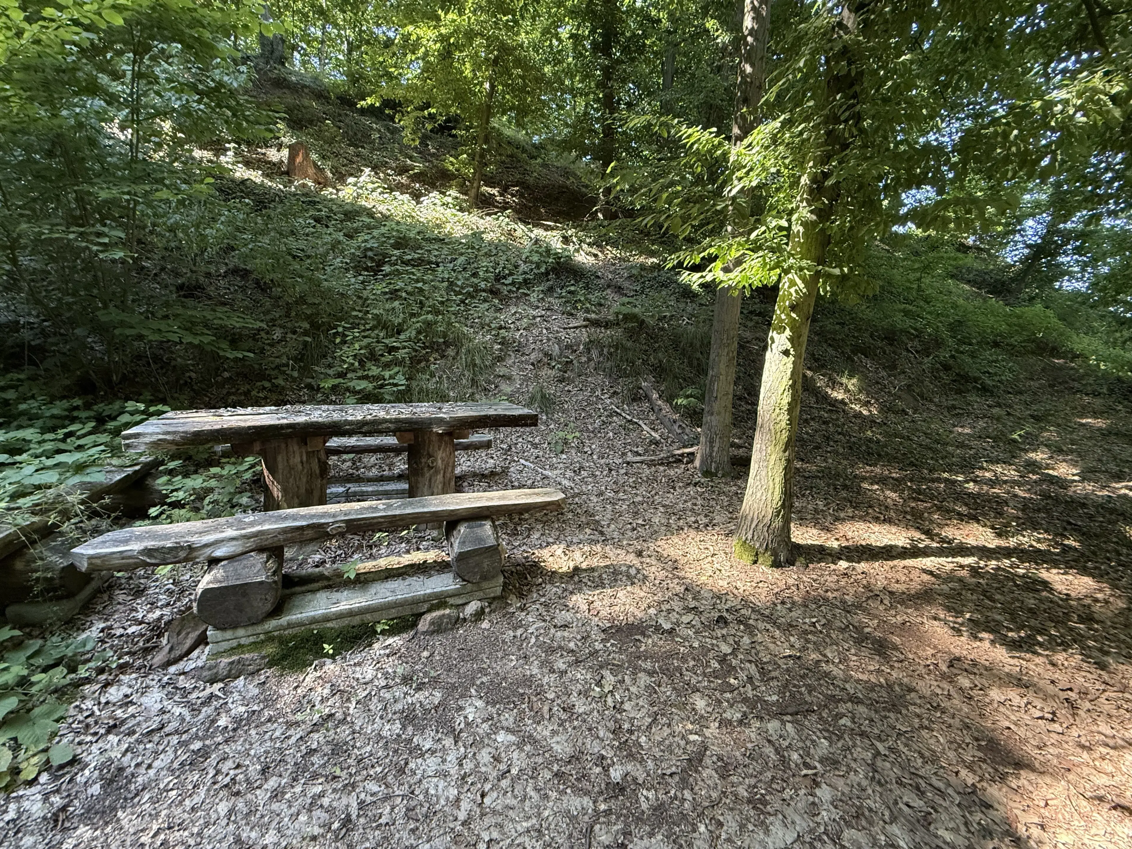 Bijzonder perceel 2.020 m², nabij rivier de Freiberger Mulde - Leisnig - Duitsland
