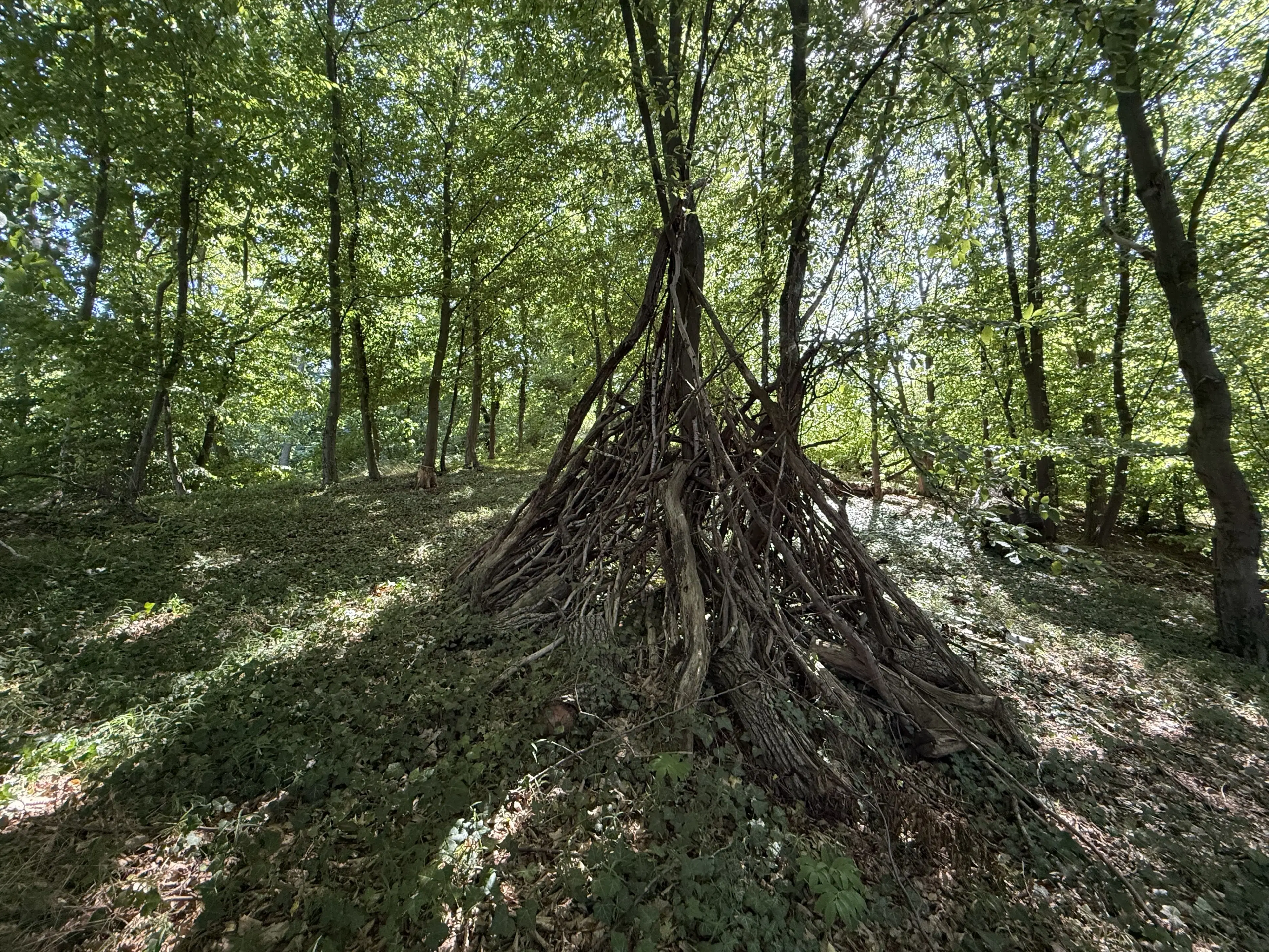 Bijzonder perceel 2.020 m², nabij rivier de Freiberger Mulde - Leisnig - Duitsland