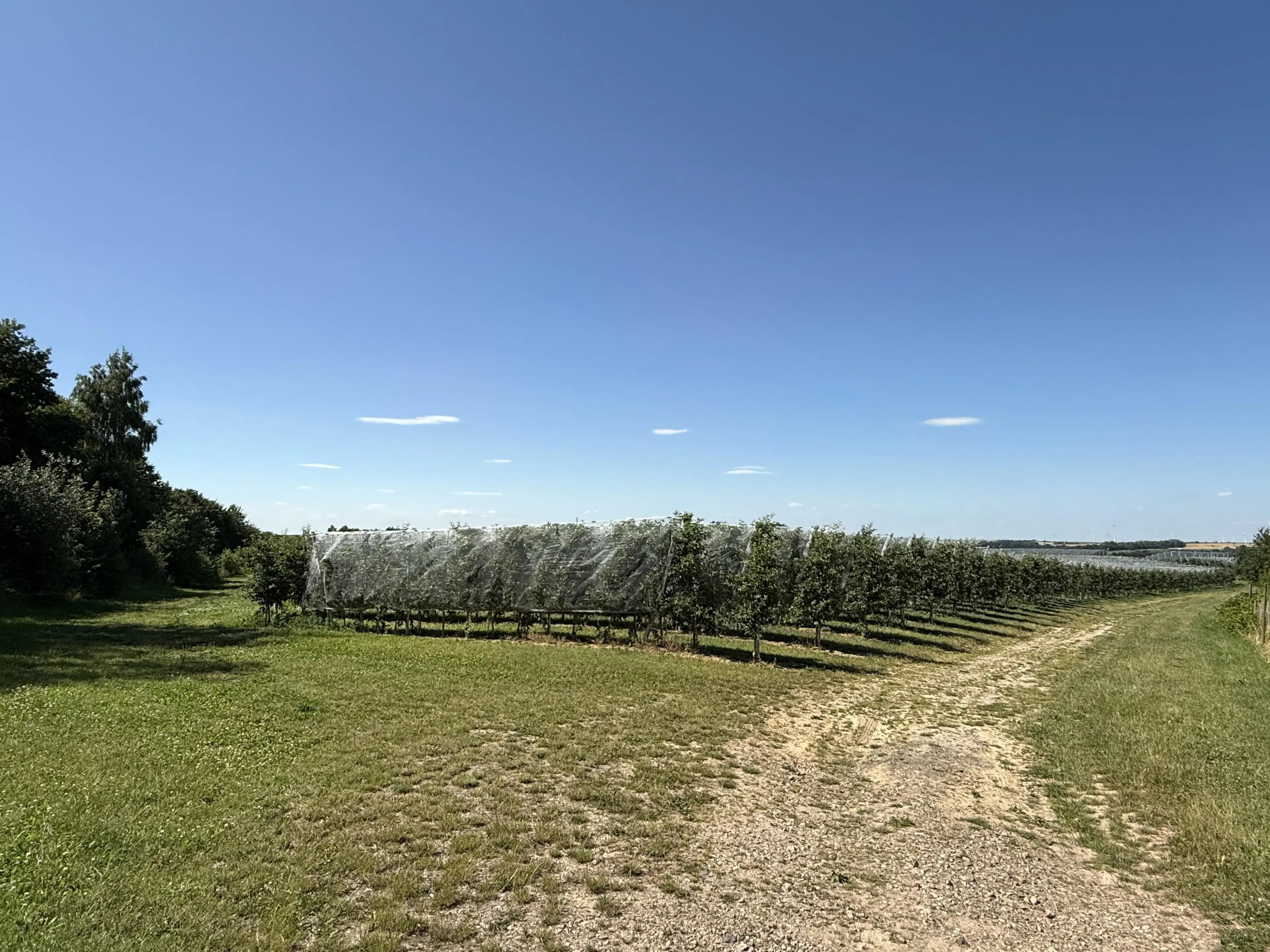 Bijzonder perceel 2.020 m², nabij rivier de Freiberger Mulde - Leisnig - Duitsland
