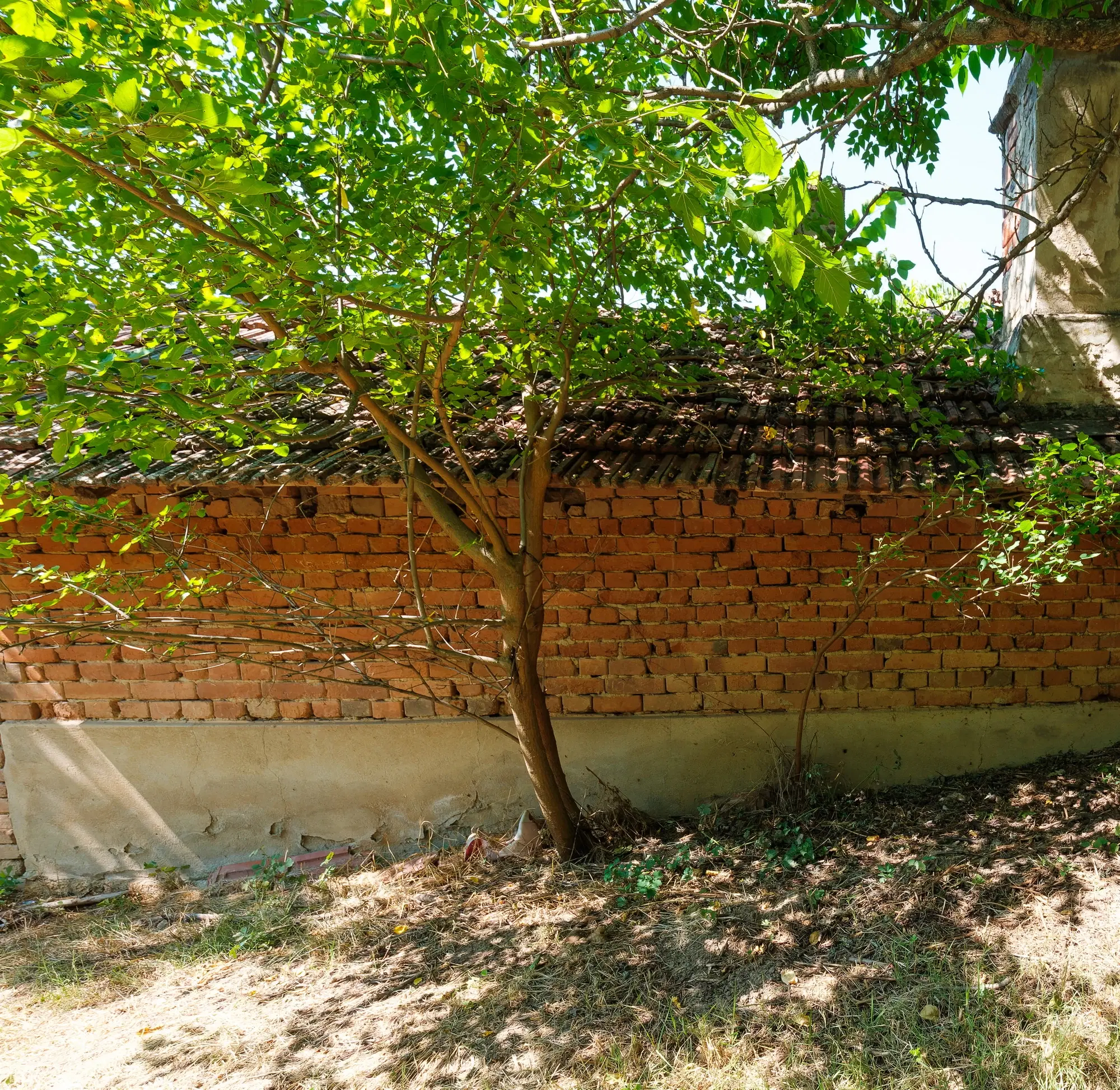 2 verdiepingen tellend huis met uitzicht op de Donau, bijgebouwen + 967 m² grond in Ostrov - Bulgarije