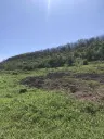 Authentiek 100 jaar oud landelijk huis + 1.006 m² grond in Glavan, Silistra - Bulgarije