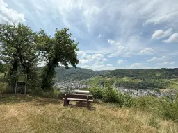 Wijngaard 774 m² met Riesling *direct gebruik mogelijk* in Cochem - Duitsland