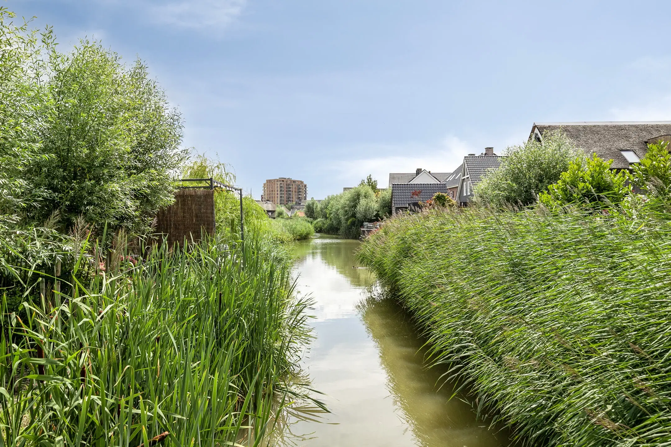 Maassluis, Blikveld 17