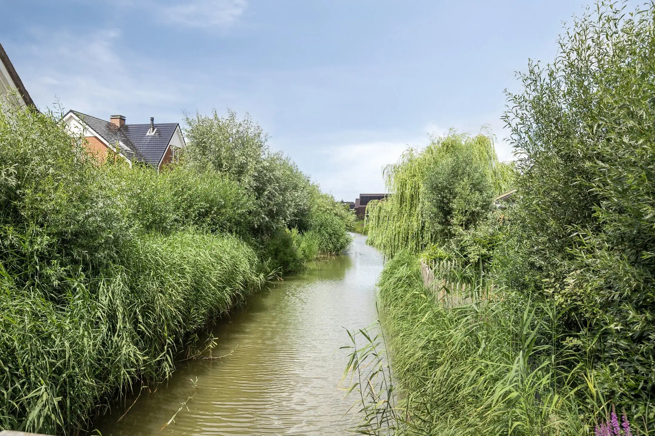 Maassluis, Blikveld 17