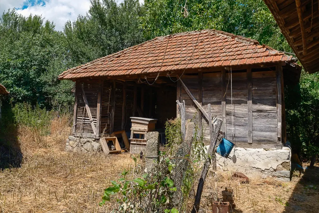 Huis met bergzicht + 2 bijgebouwen en 1.960 m² grond in Rakovitsa, Vidin - Bulgarije