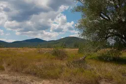 Huis met bergzicht + 2 bijgebouwen en 1.960 m² grond in Rakovitsa, Vidin - Bulgarije