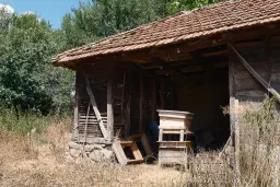 Huis met bergzicht + 2 bijgebouwen en 1.960 m² grond in Rakovitsa, Vidin - Bulgarije
