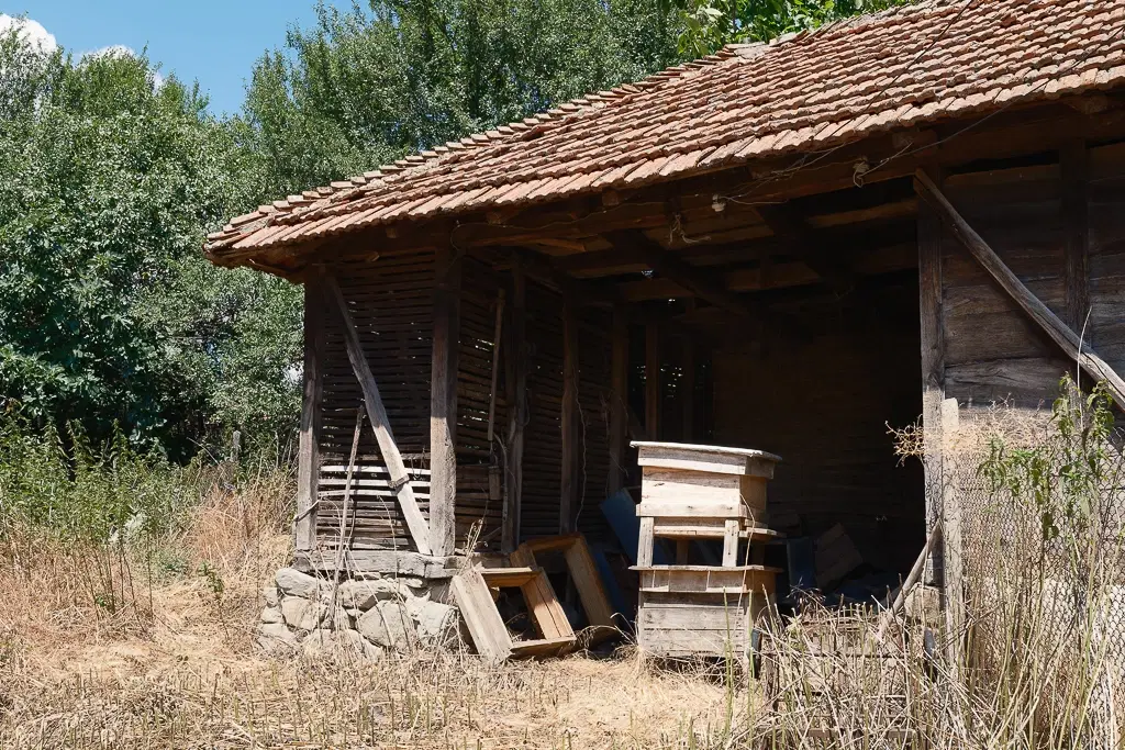 Huis met bergzicht + 2 bijgebouwen en 1.960 m² grond in Rakovitsa, Vidin - Bulgarije