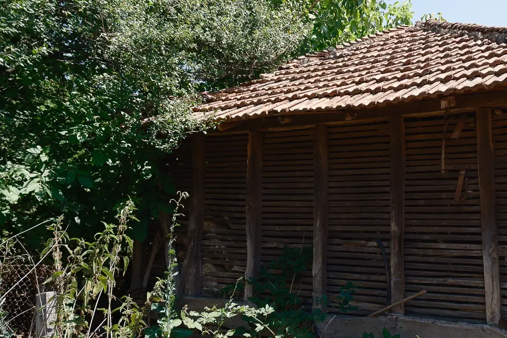 Huis met bergzicht + 2 bijgebouwen en 1.960 m² grond in Rakovitsa, Vidin - Bulgarije