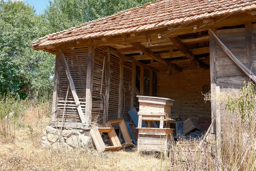 Huis met bergzicht + 2 bijgebouwen en 1.960 m² grond in Rakovitsa, Vidin - Bulgarije