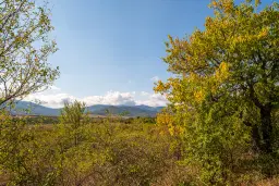 Huis met bergzicht + 2 bijgebouwen en 1.960 m² grond in Rakovitsa, Vidin - Bulgarije