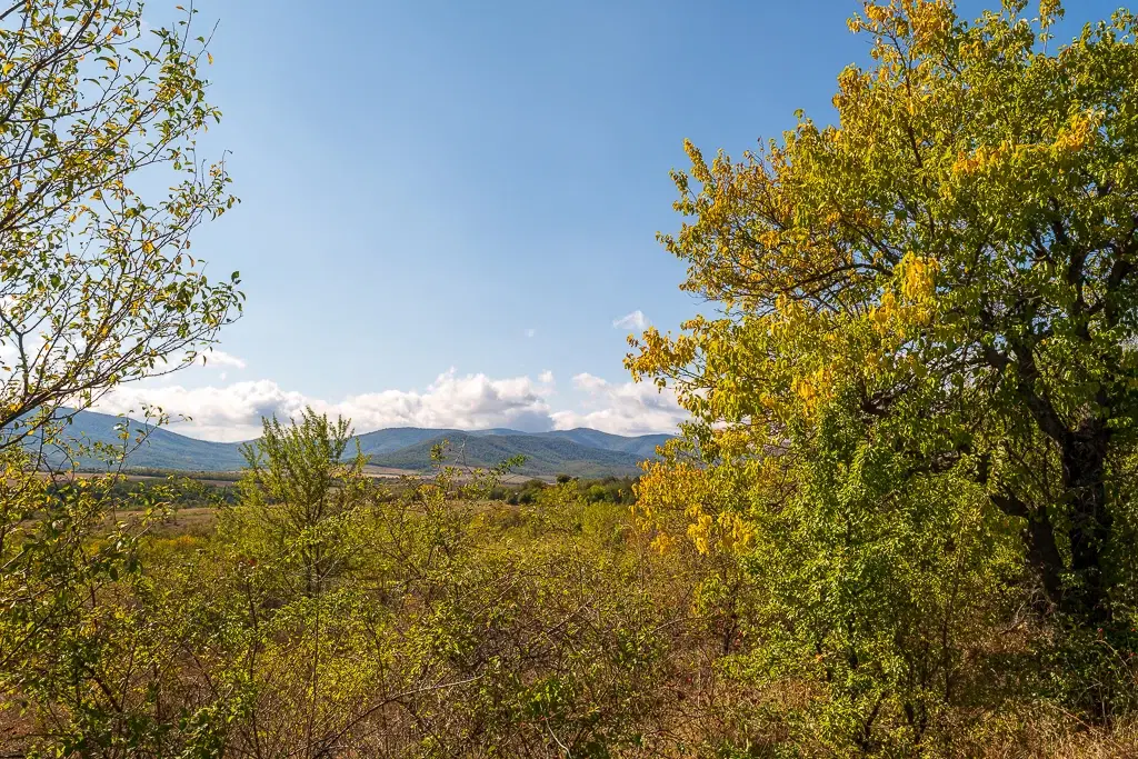 Huis met bergzicht + 2 bijgebouwen en 1.960 m² grond in Rakovitsa, Vidin - Bulgarije