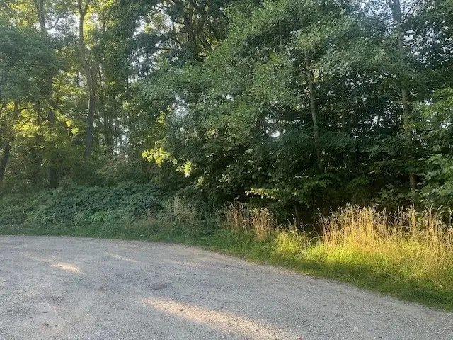 Off-grid perceel 1,2 hectare natuur in Osterfeld - Duitsland