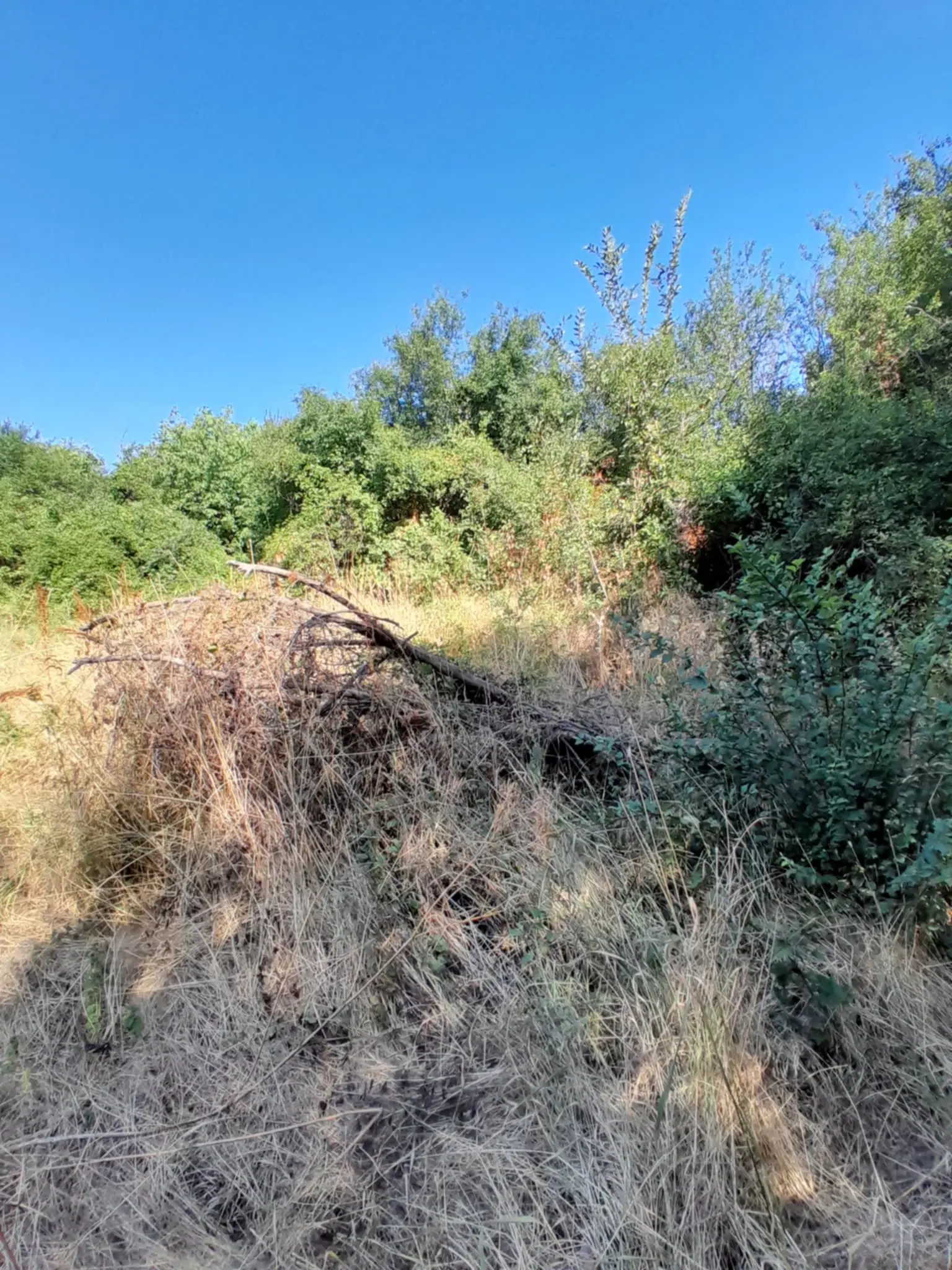 Lion's huis, bijgebouw en 1.050 m² grond in Rakovitsa, Vidin - Bulgarije