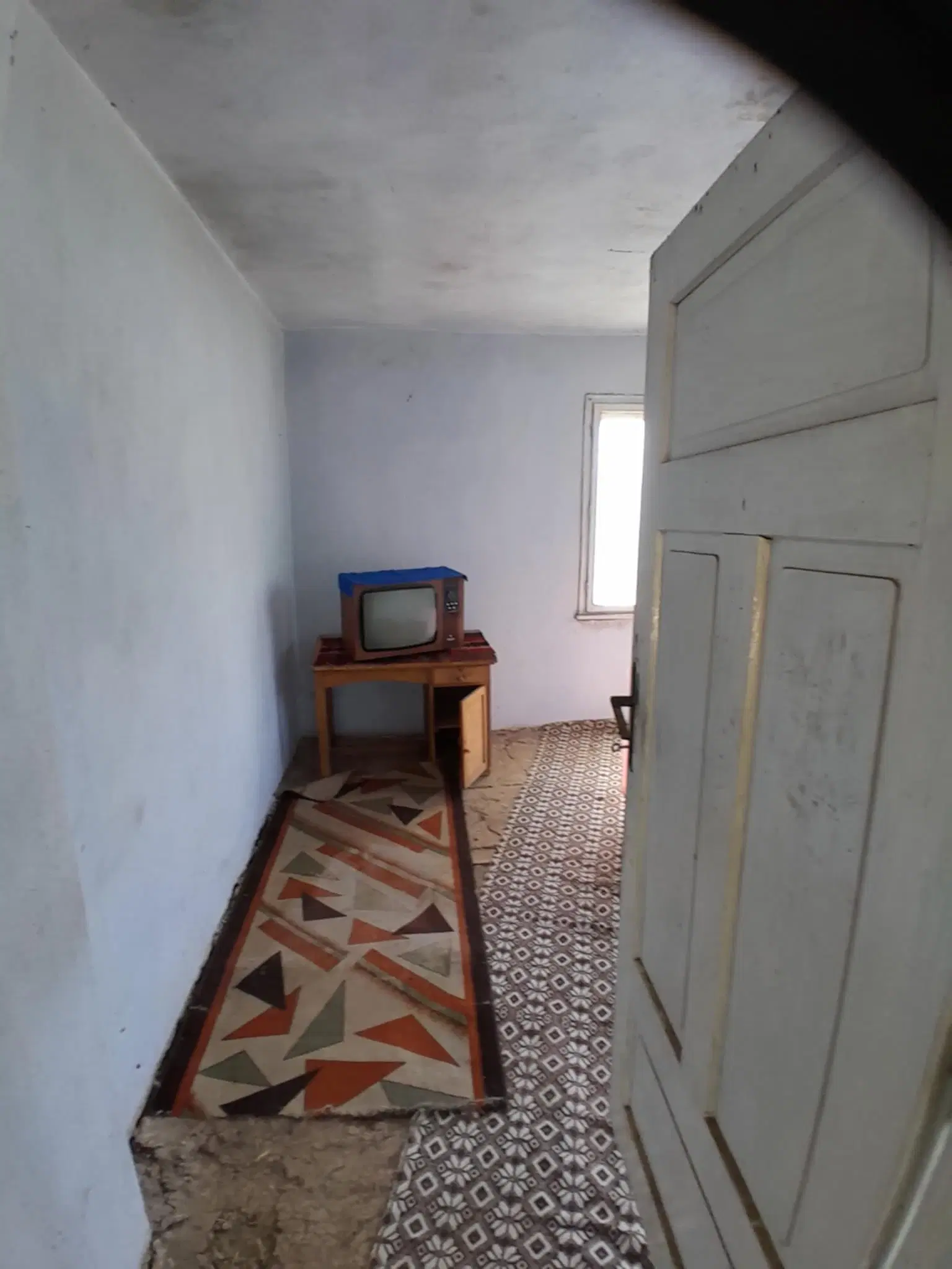 Lion's huis, bijgebouw en 1.050 m² grond in Rakovitsa, Vidin - Bulgarije