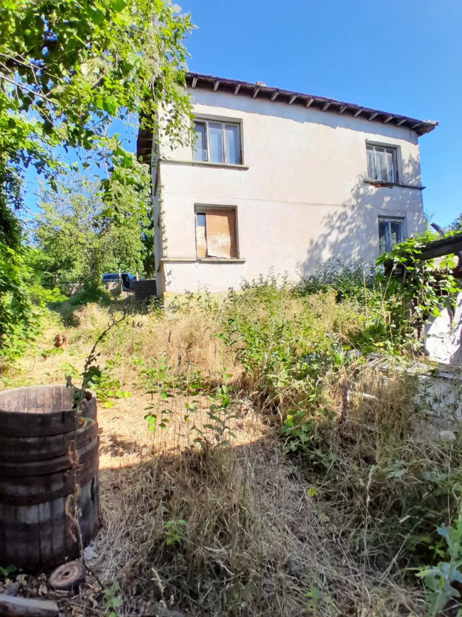 Lion's huis, bijgebouw en 1.050 m² grond in Rakovitsa, Vidin - Bulgarije