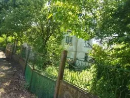 Lion's huis, bijgebouw en 1.050 m² grond in Rakovitsa, Vidin - Bulgarije