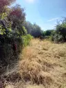 Lion's huis, bijgebouw en 1.050 m² grond in Rakovitsa, Vidin - Bulgarije