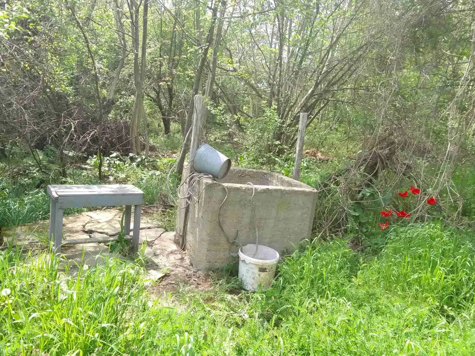 Lion's huis, bijgebouw en 1.050 m² grond in Rakovitsa, Vidin - Bulgarije