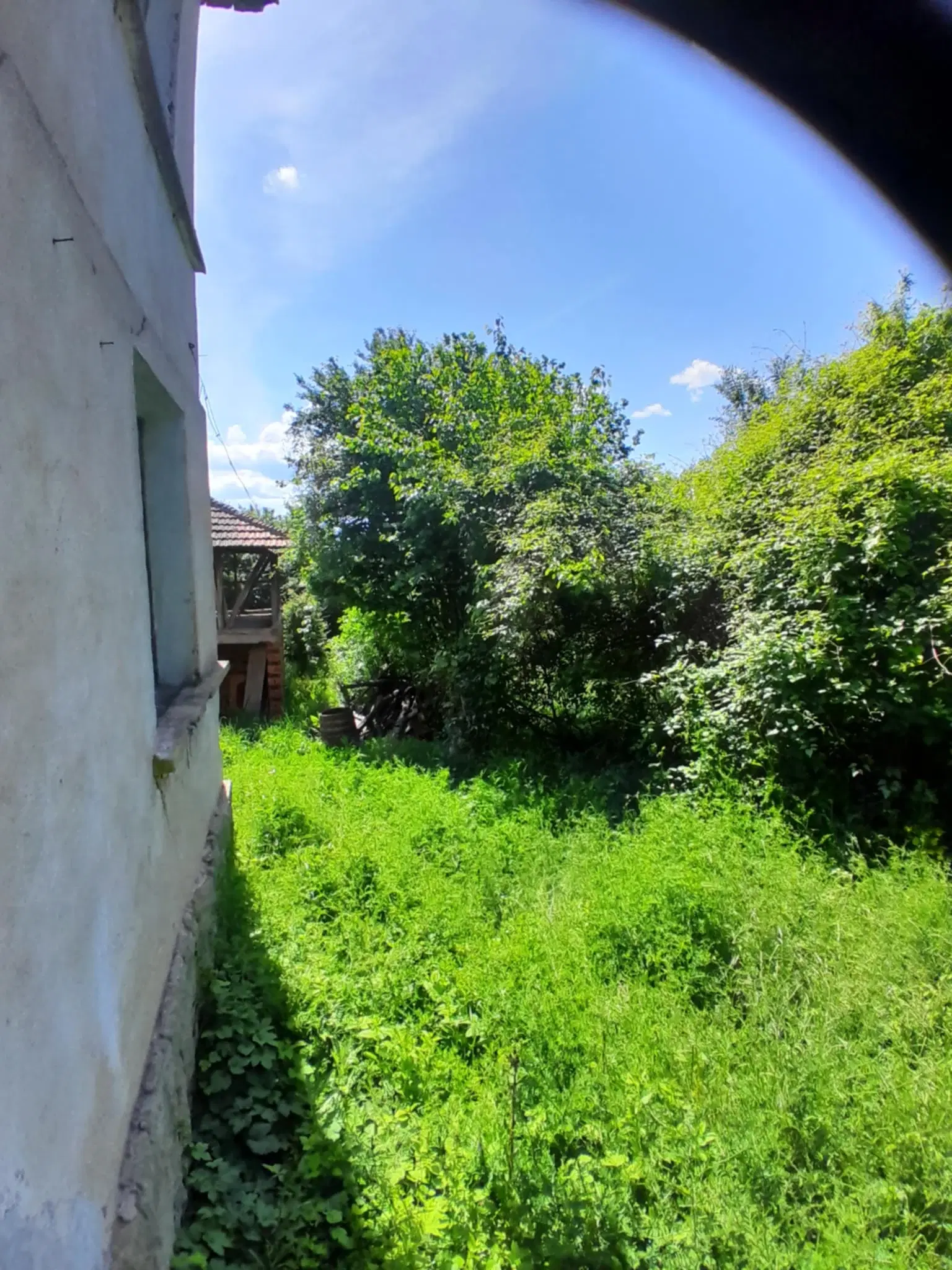 Lion's huis, bijgebouw en 1.050 m² grond in Rakovitsa, Vidin - Bulgarije