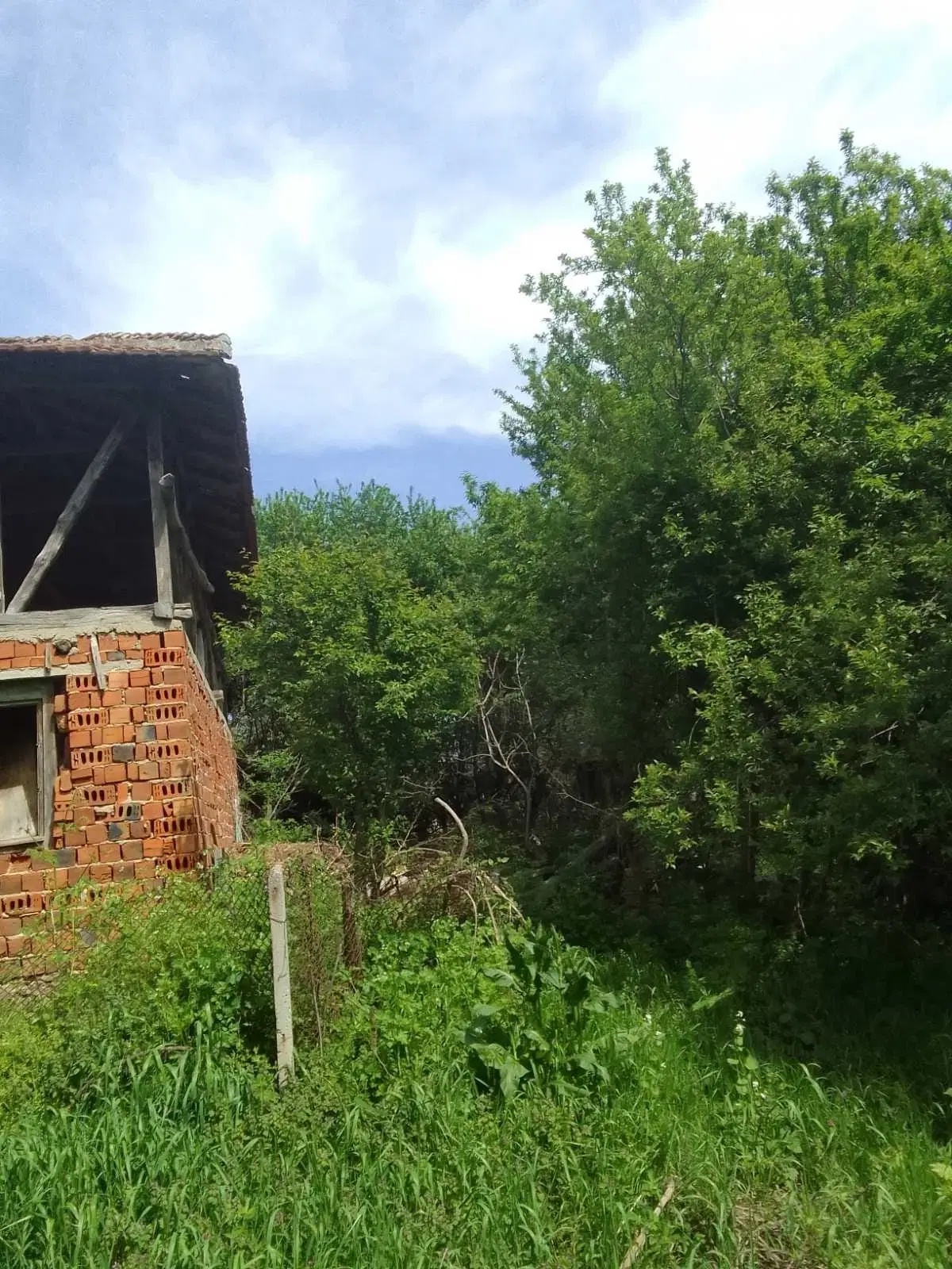 Lion's huis, bijgebouw en 1.050 m² grond in Rakovitsa, Vidin - Bulgarije
