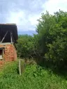 Lion's huis, bijgebouw en 1.050 m² grond in Rakovitsa, Vidin - Bulgarije