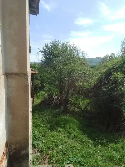 Lion's huis, bijgebouw en 1.050 m² grond in Rakovitsa, Vidin - Bulgarije