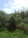 Lion's huis, bijgebouw en 1.050 m² grond in Rakovitsa, Vidin - Bulgarije