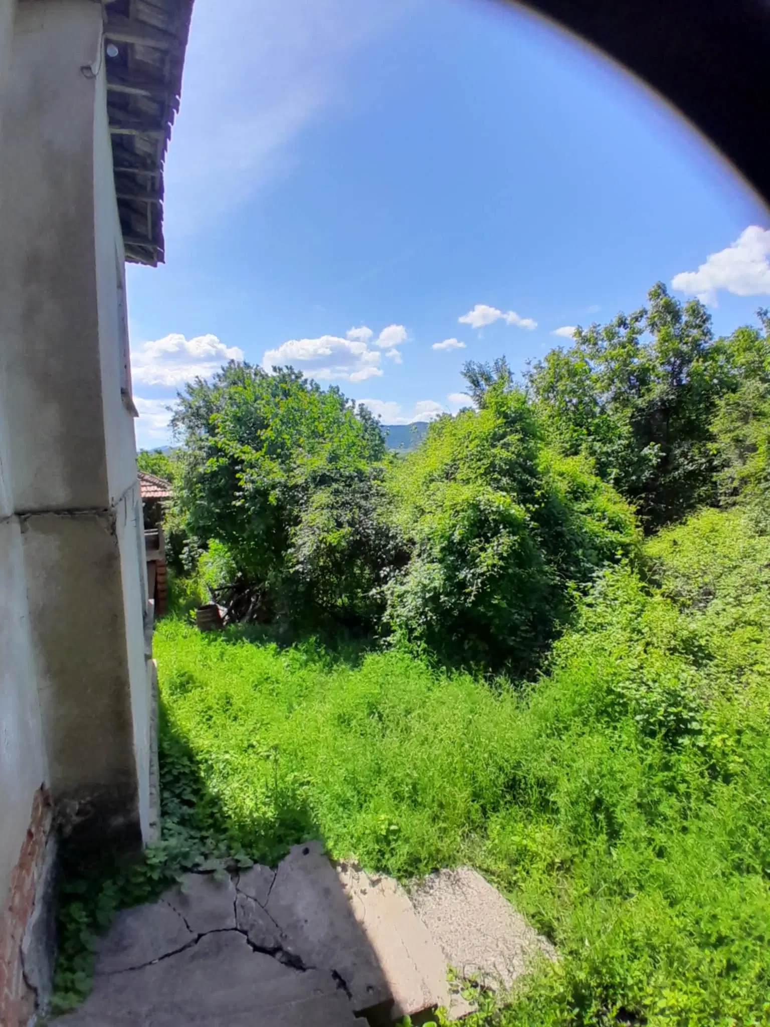 Lion's huis, bijgebouw en 1.050 m² grond in Rakovitsa, Vidin - Bulgarije