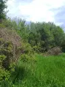 Lion's huis, bijgebouw en 1.050 m² grond in Rakovitsa, Vidin - Bulgarije