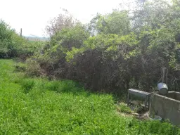 Lion's huis, bijgebouw en 1.050 m² grond in Rakovitsa, Vidin - Bulgarije
