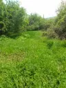 Lion's huis, bijgebouw en 1.050 m² grond in Rakovitsa, Vidin - Bulgarije