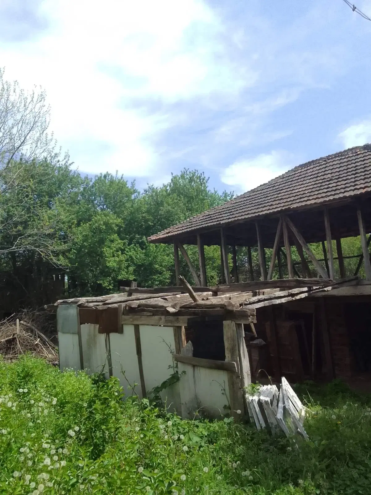 Lion's huis, bijgebouw en 1.050 m² grond in Rakovitsa, Vidin - Bulgarije