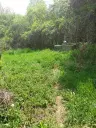 Lion's huis, bijgebouw en 1.050 m² grond in Rakovitsa, Vidin - Bulgarije