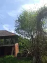 Lion's huis, bijgebouw en 1.050 m² grond in Rakovitsa, Vidin - Bulgarije