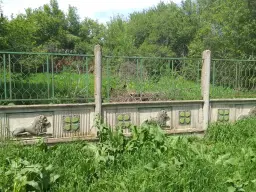 Lion's huis, bijgebouw en 1.050 m² grond in Rakovitsa, Vidin - Bulgarije