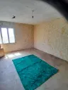 Lion's huis, bijgebouw en 1.050 m² grond in Rakovitsa, Vidin - Bulgarije