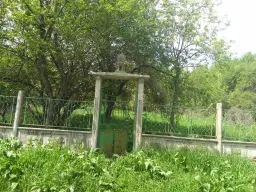 Lion's huis, bijgebouw en 1.050 m² grond in Rakovitsa, Vidin - Bulgarije